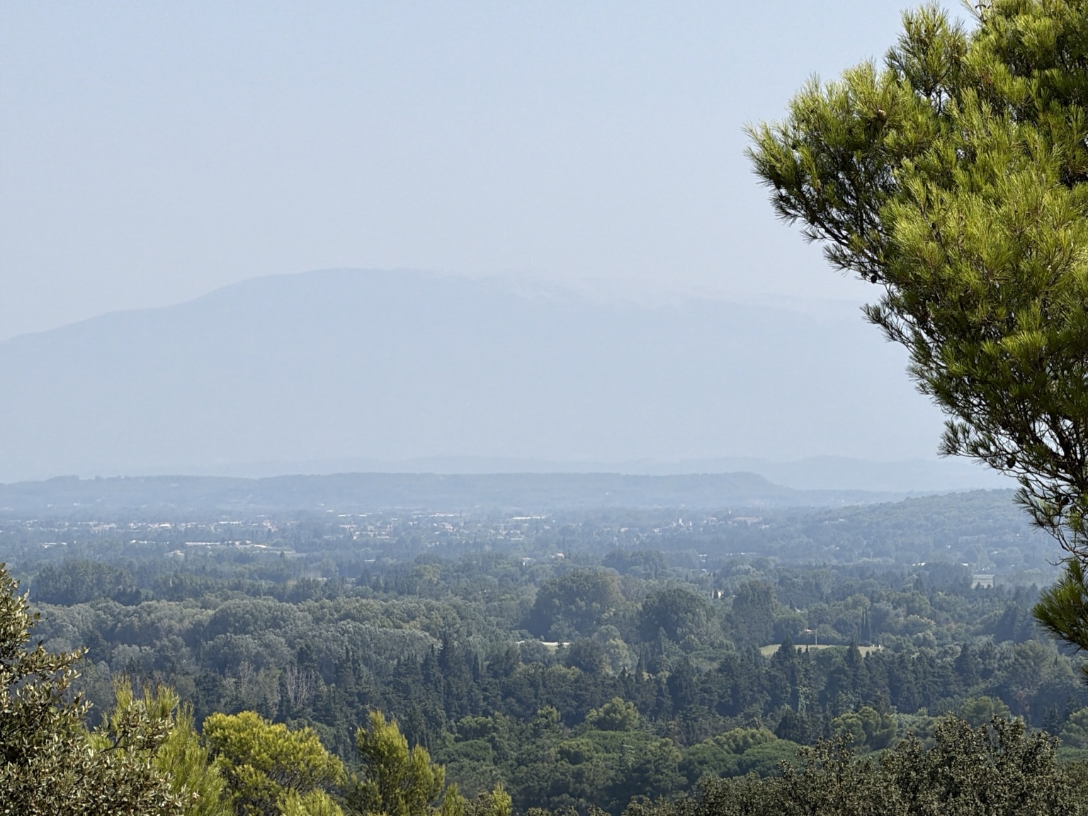 Uitgestrekt groen landschap van de Vaucluse